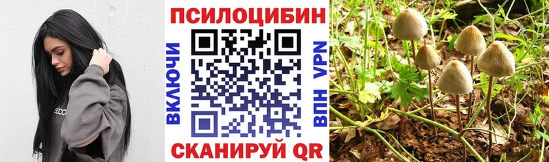 Галлюциногенные грибы MAGIC MUSHROOMS  Купить закладки  Углич 